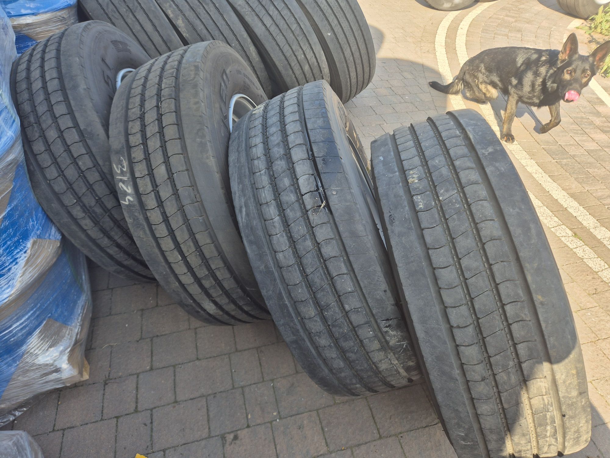 Koła do przyczep D35 D46 D47 D50 D55 HL IFA  BRANDYS BSS PRONAR  WIELT