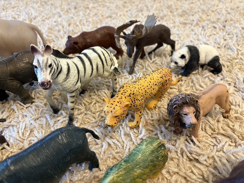 Колекція тварин: сафарі, дикі, морські, птахи