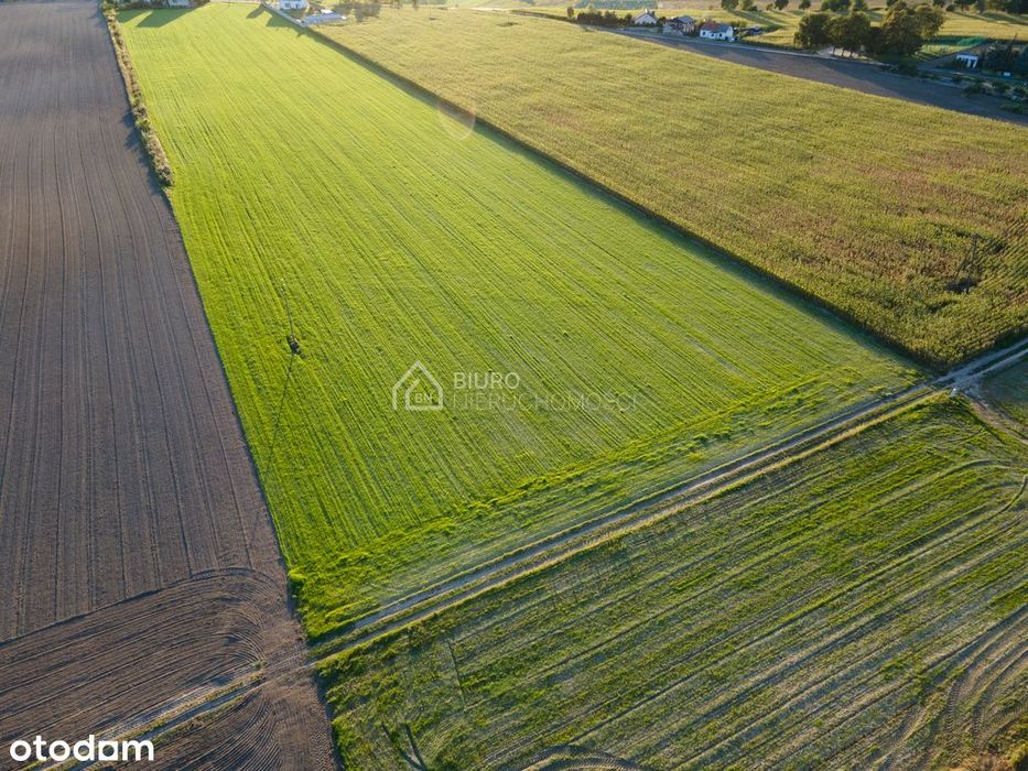 Działka na sprzedaż marzenie na wielkopolskiej wsi