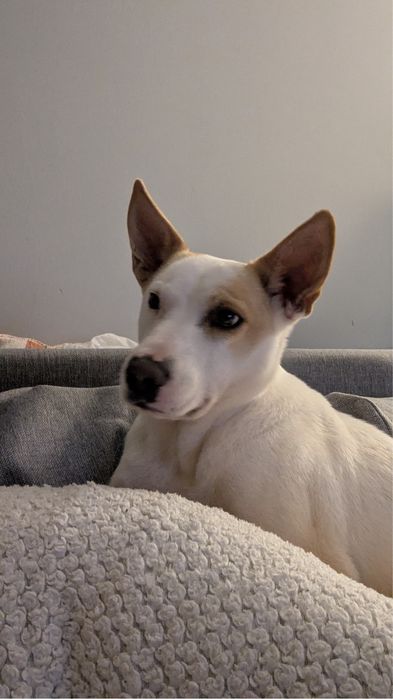 Kendi - Twoja towarzyszka na lata