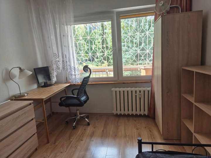 Pokój jednoosobowy do wynajęcia