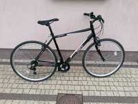 Rower Apollo Transfer