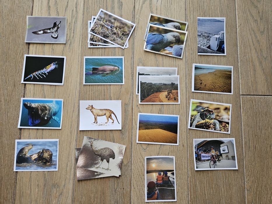 Naklejki WWF - 0,50 gr. za sztukę