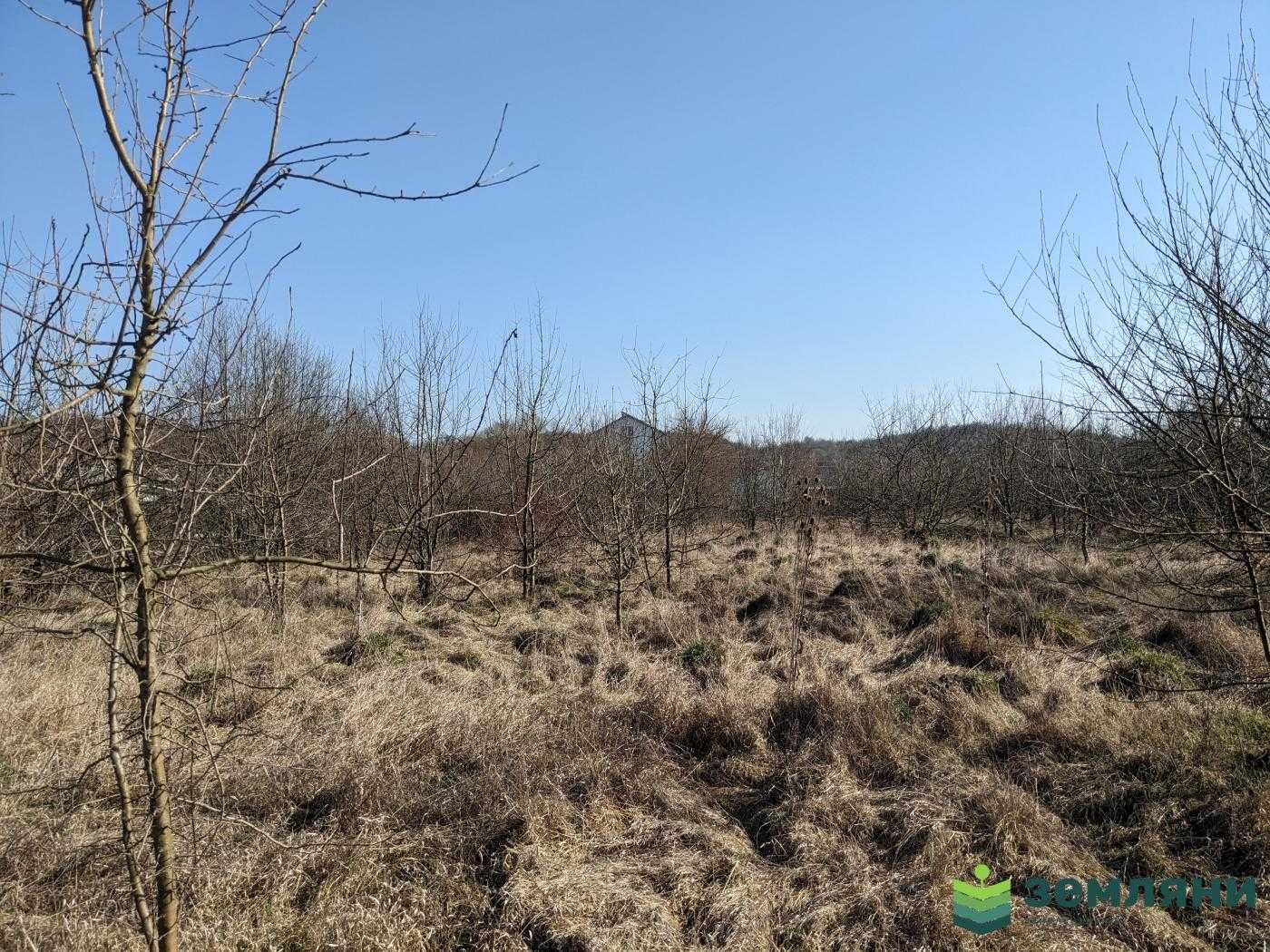 Продаж землі під житлову забудову, 8 соток м.Тисмениця вул.Сірка