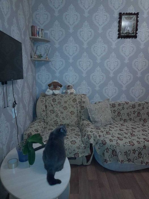 Здам кімнату для дівчини, жінки, вул. Героїв Дніпра