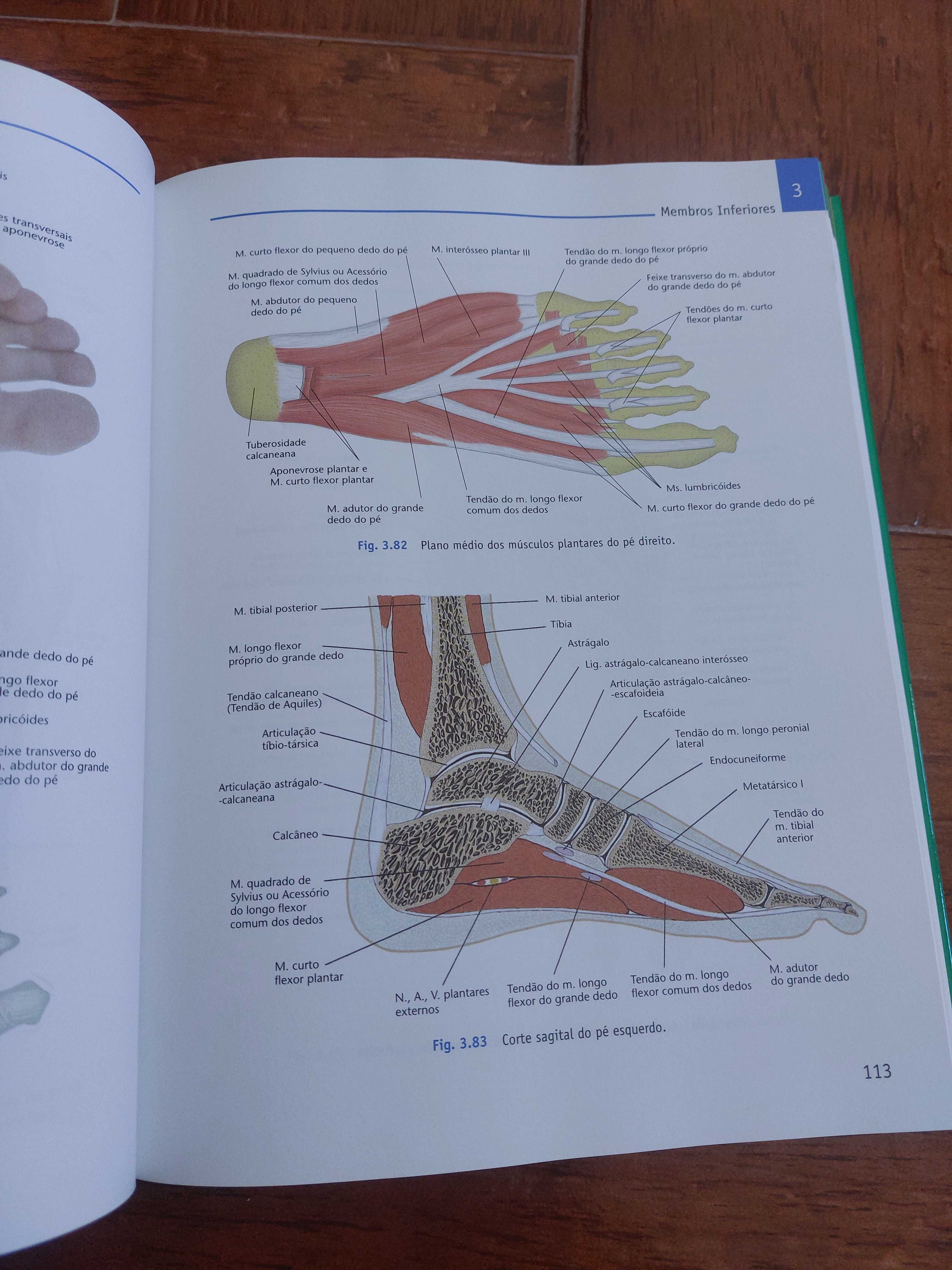 Livro atlas de anatomia