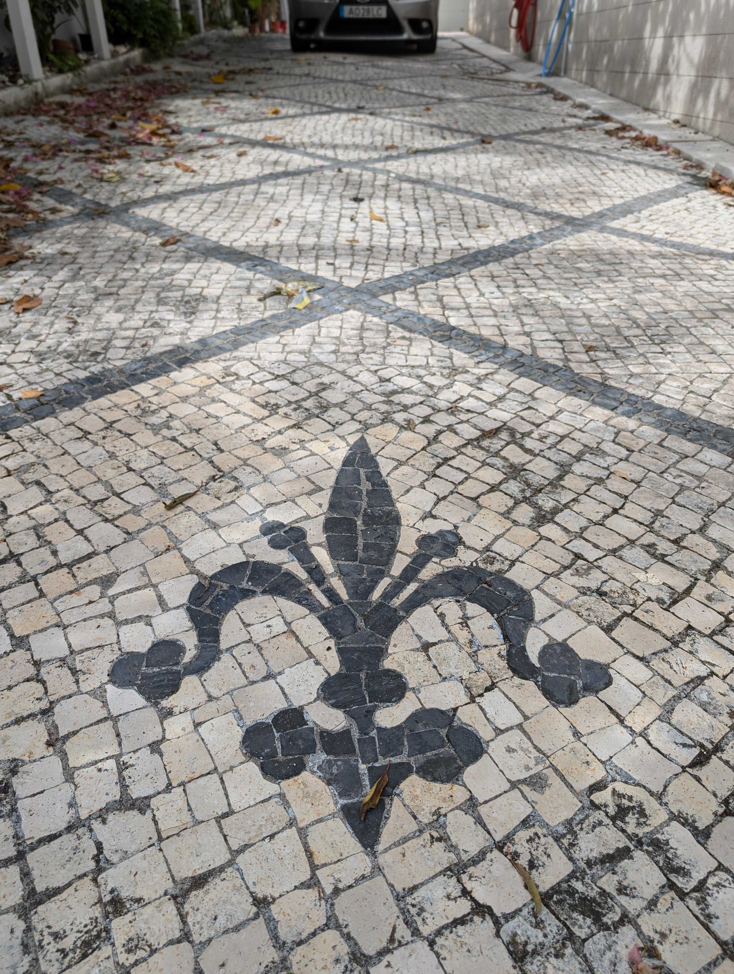 Tipica Calçada Portuguesa, com motivos florais