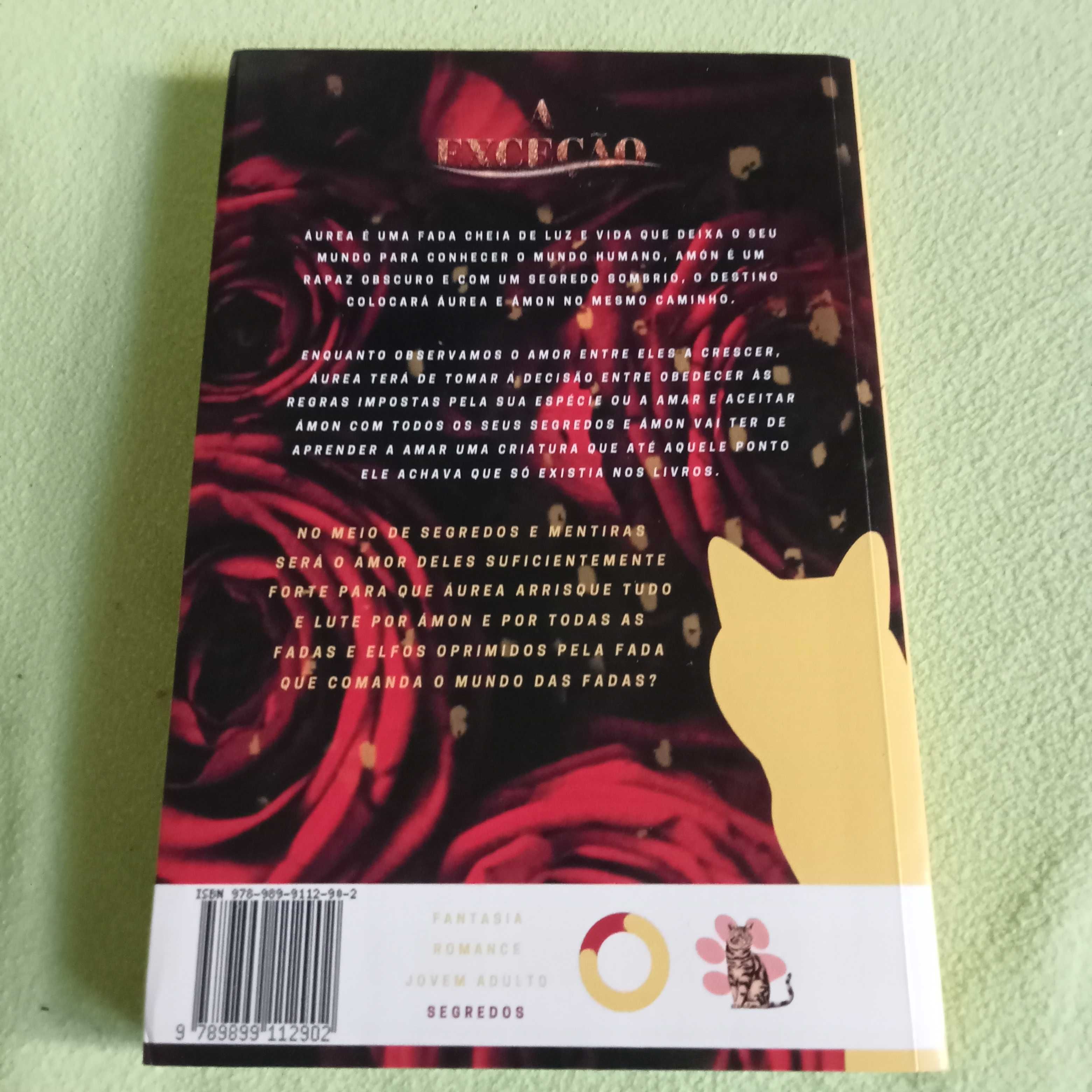 A exceção - Susana Sousa