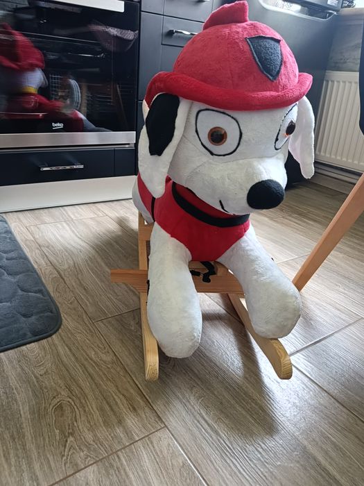 Bujak na biegunach psi patrol