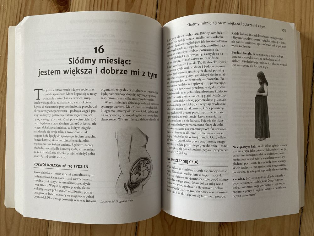 Książka „Księga ciąży”, stan bdb, W. Sears