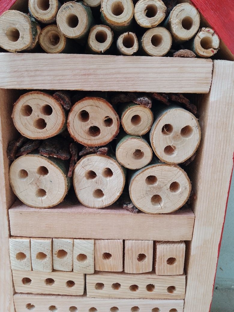 Будиночок для комах