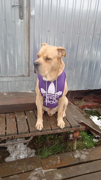 Ка Де Бо Кабель для вязки.