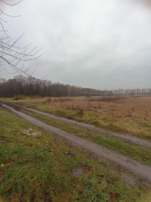 Будинок у селі Нове