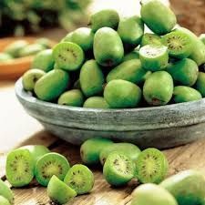 Міні- Ківі (Актинидія)  саджанці Опт і Роздріб