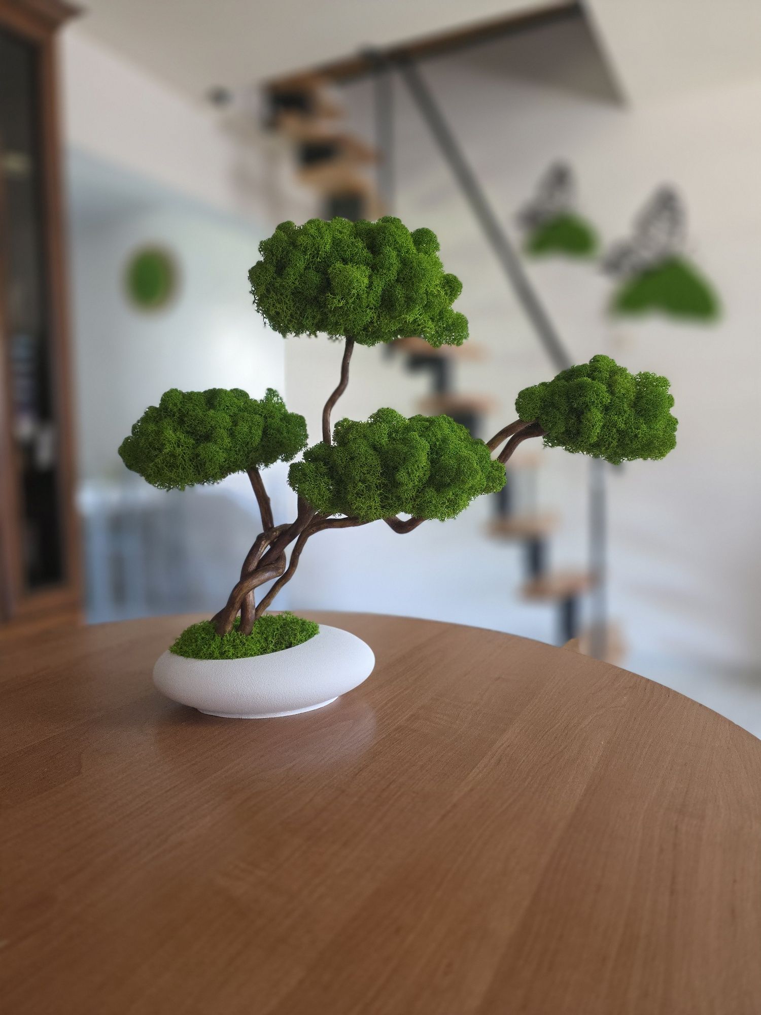 Drzewko bonsai z mchem chrobotkiem. Prezent. Dekoracje wnętrz.  Mech.