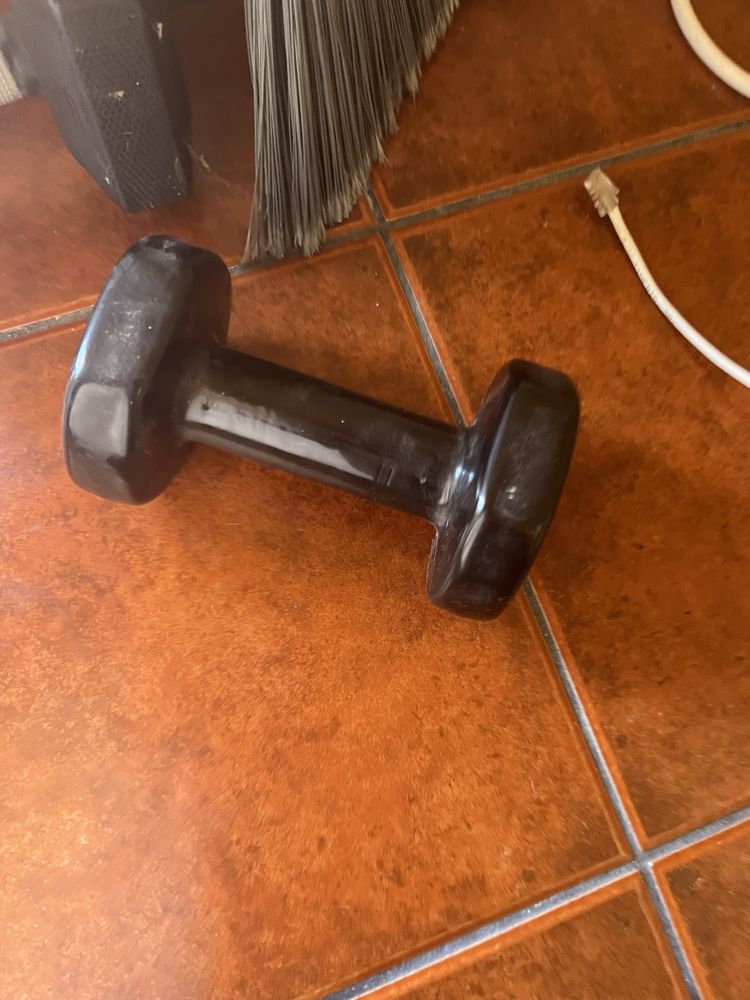 Vendo bicicleta + alteres