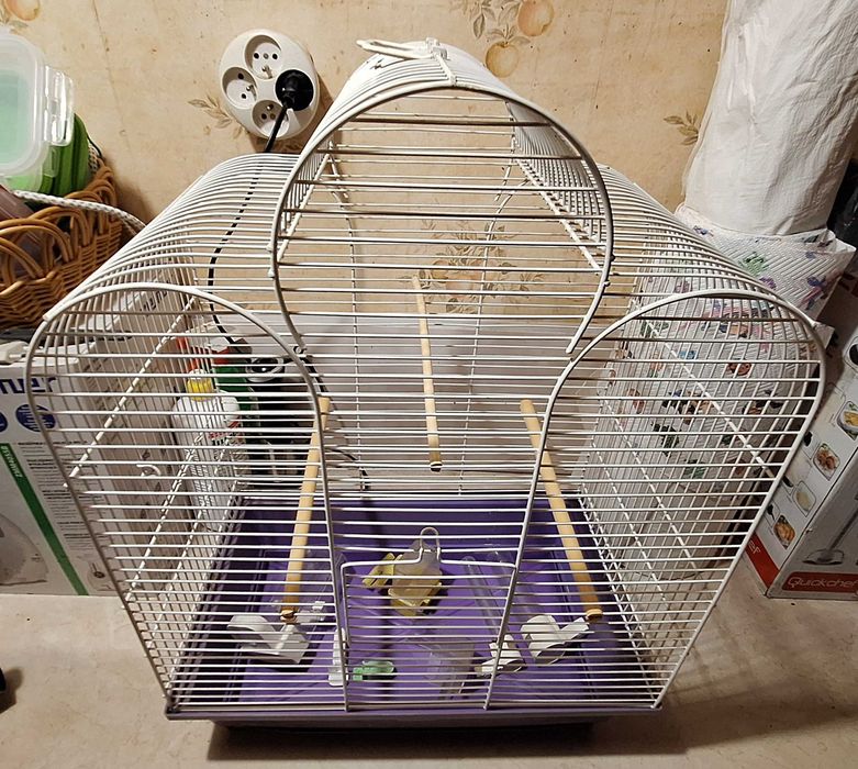 Klatka dla ptaka, papugi z akcesoriami.