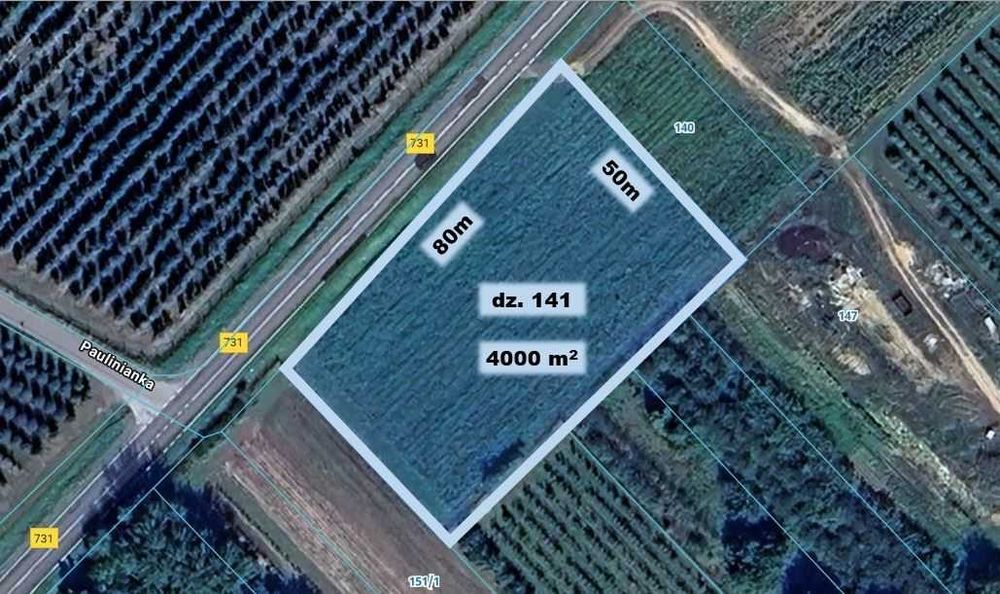 Działka rolna 0,4ha Palczew przy szosie Warka-Białobrzegi