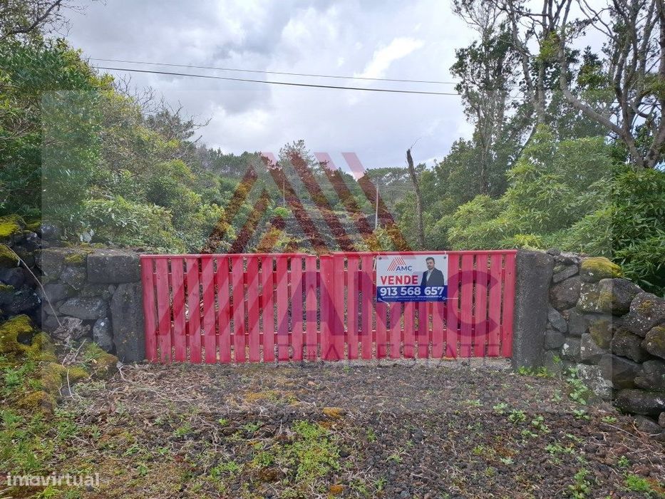 Terreno Rústico c/Vinha e viabilidade de Construção