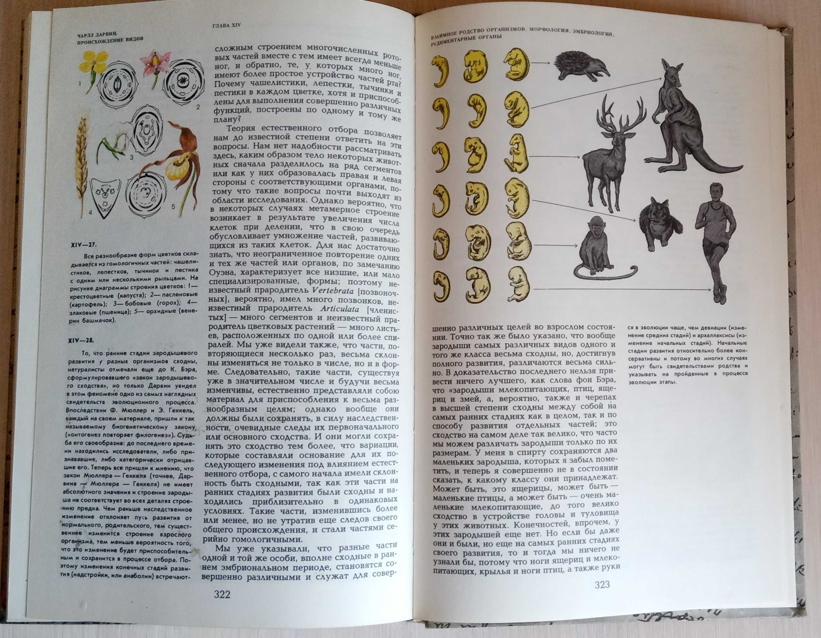 Книга Чарлз Дарвин «Происхождение видов путем естественного отбора»
