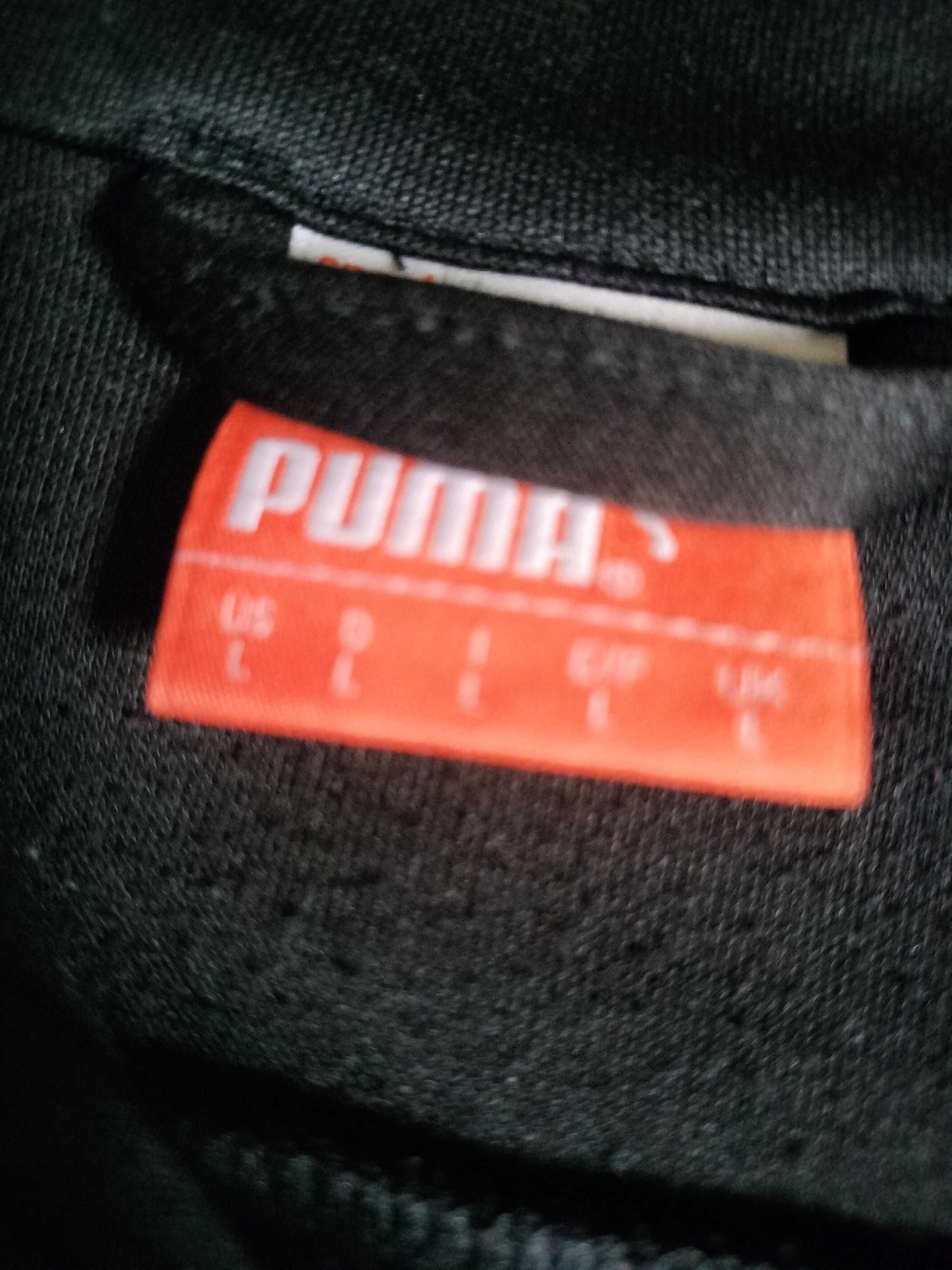 Bluza puma męska