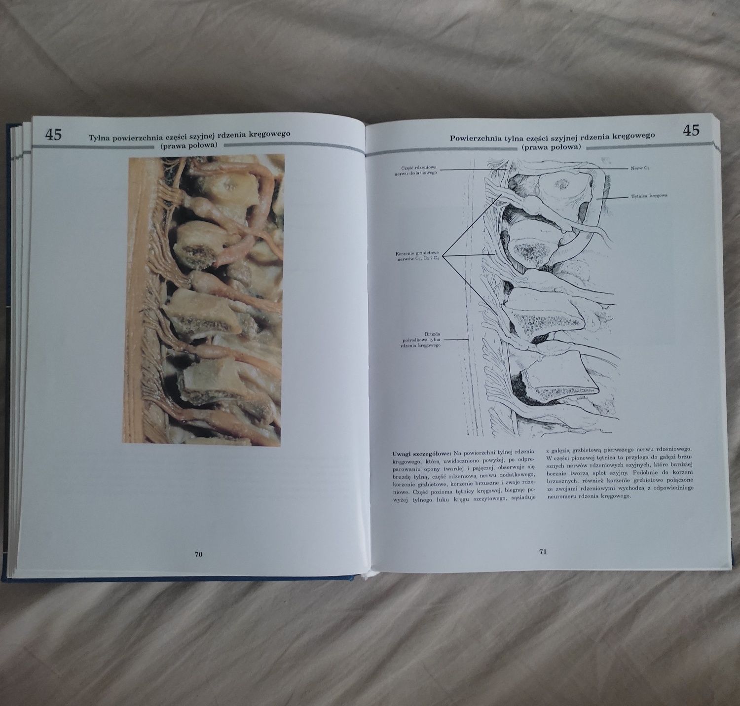 Fotograficzny atlas anatomii człowieka