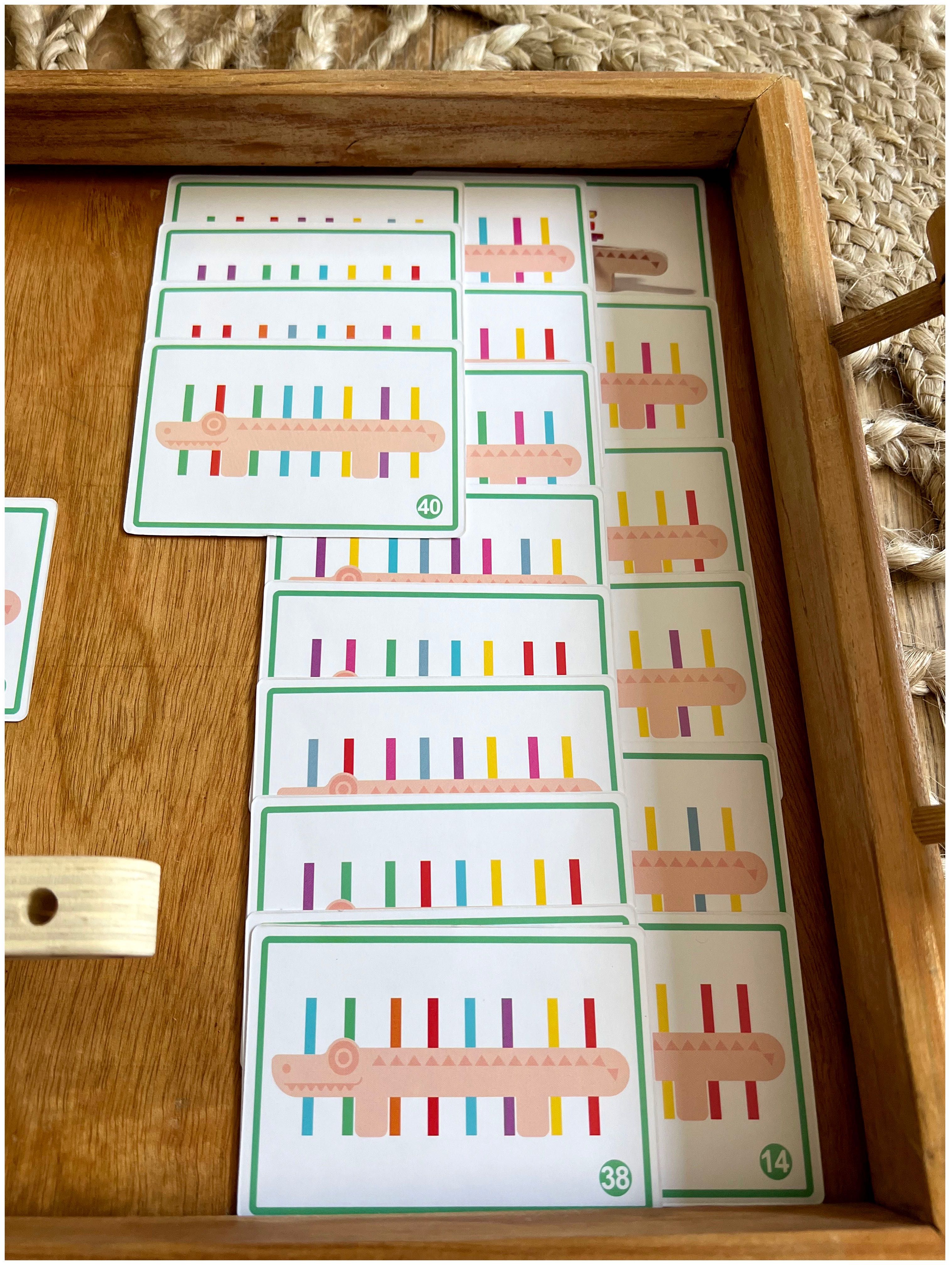 Crocodilo Colorido - Montessori