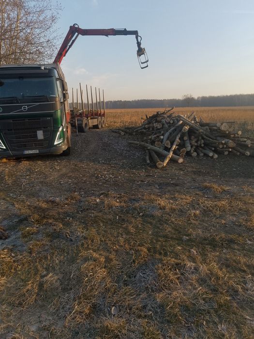 Sprzedam drewno 130/MP