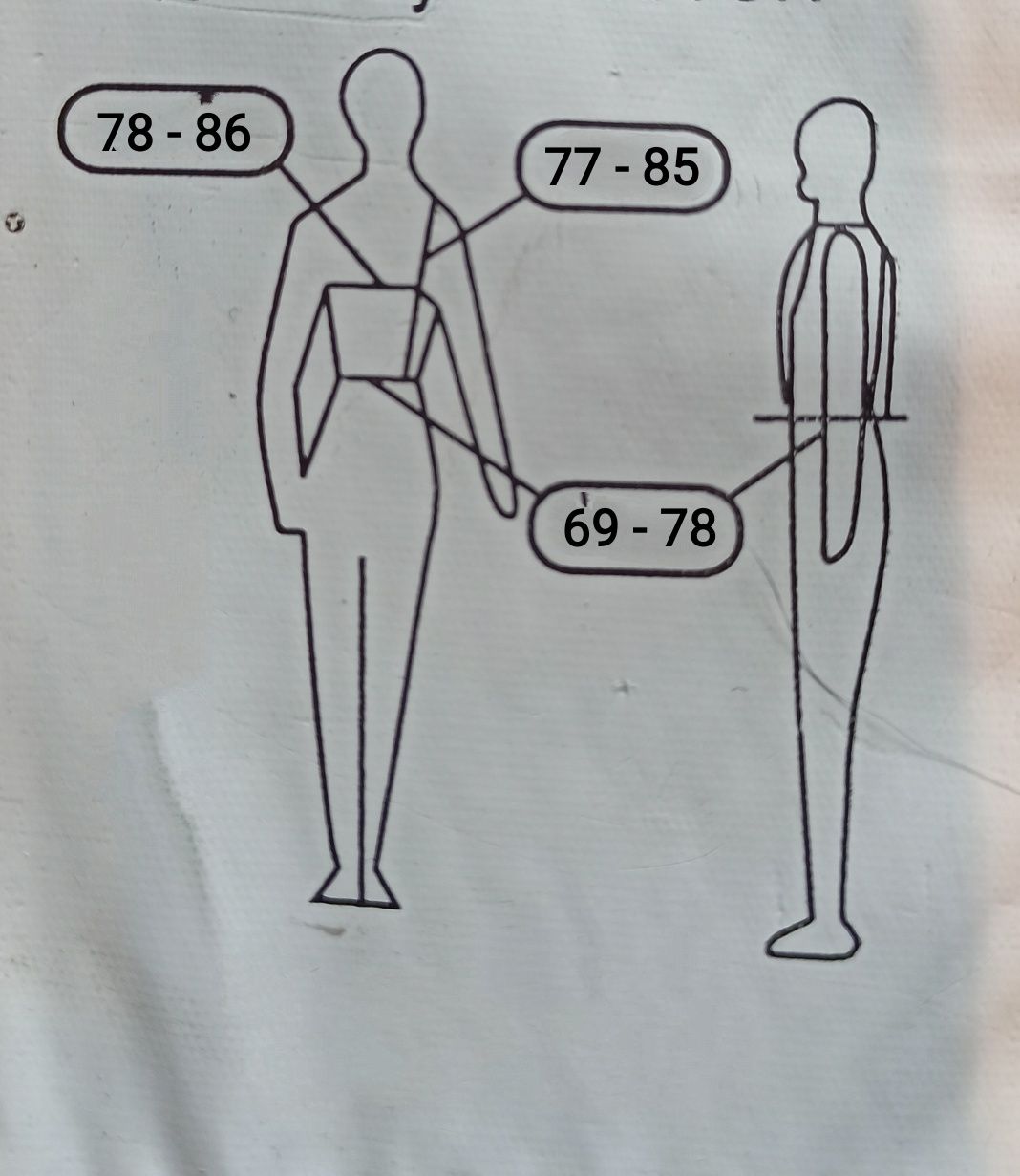 Jak nowa kamizelka ochronna bezpieczeństwa jeździecka - XL dla dzieci