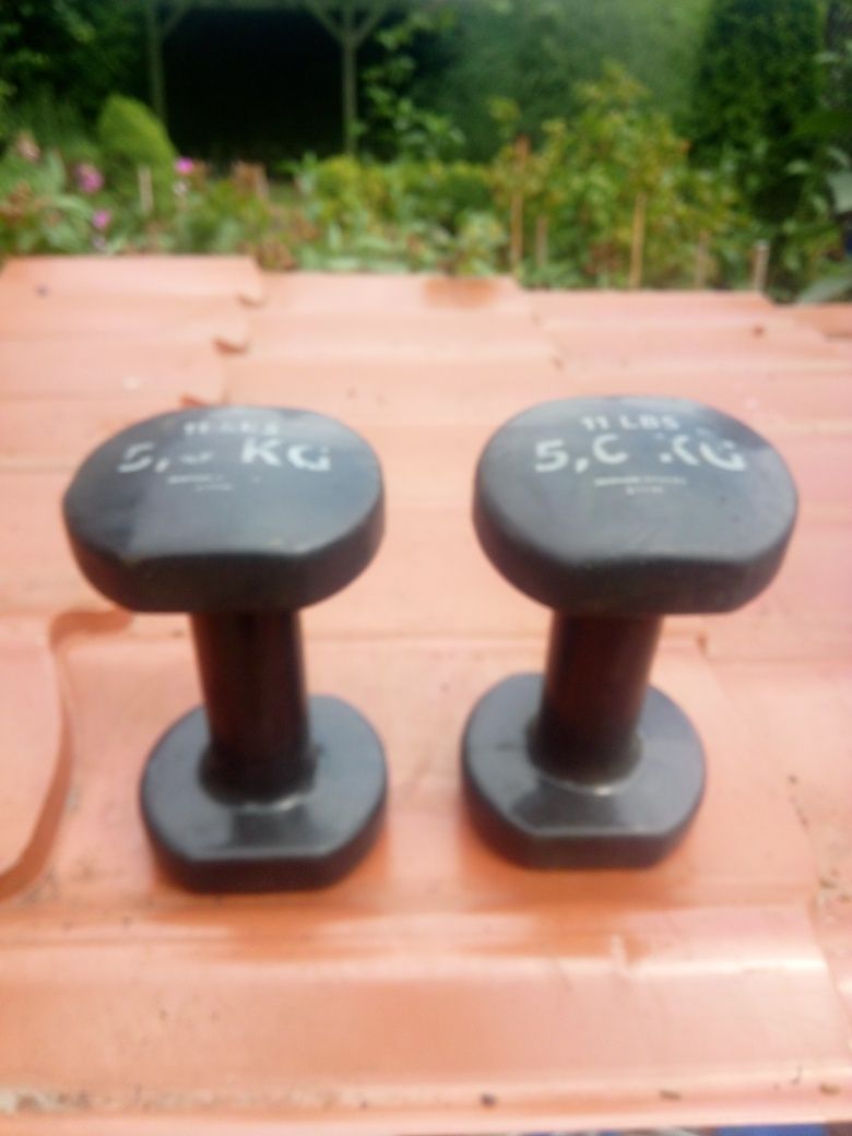 Hantle 5kg Dwie sztuki Decathlon Okazja Warto !!!