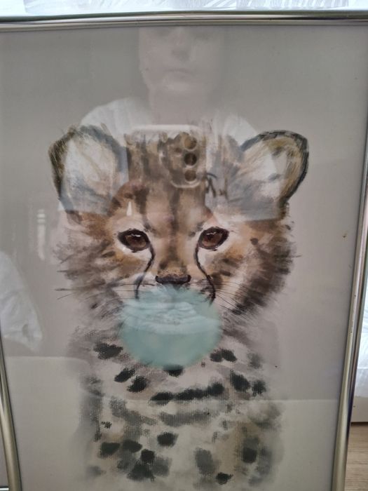 Obrazki plakaty dla dziewczynki