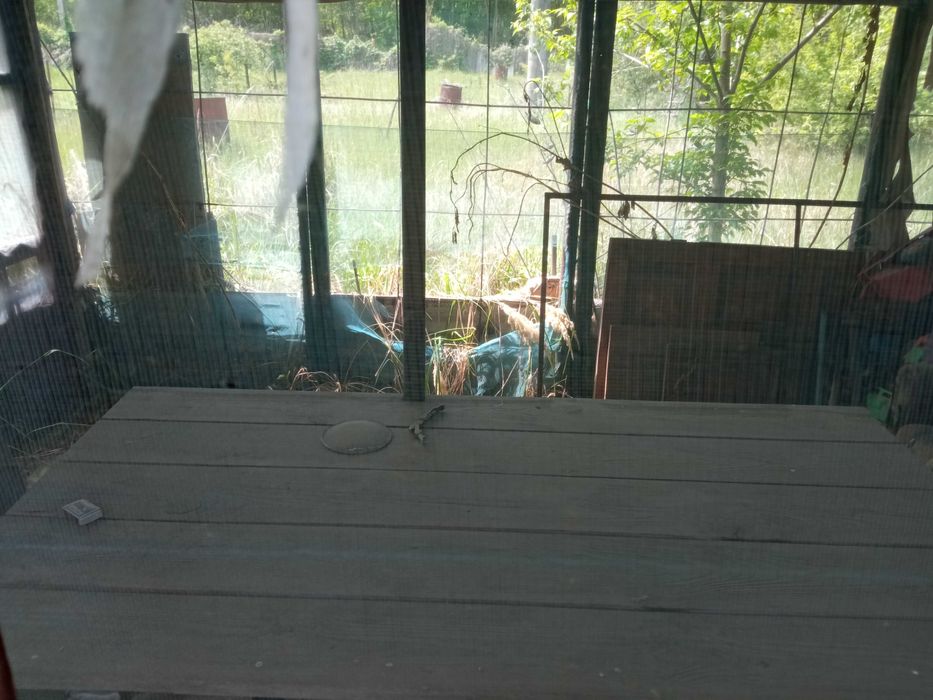 Продам дачний будинок в СТ Лісовий