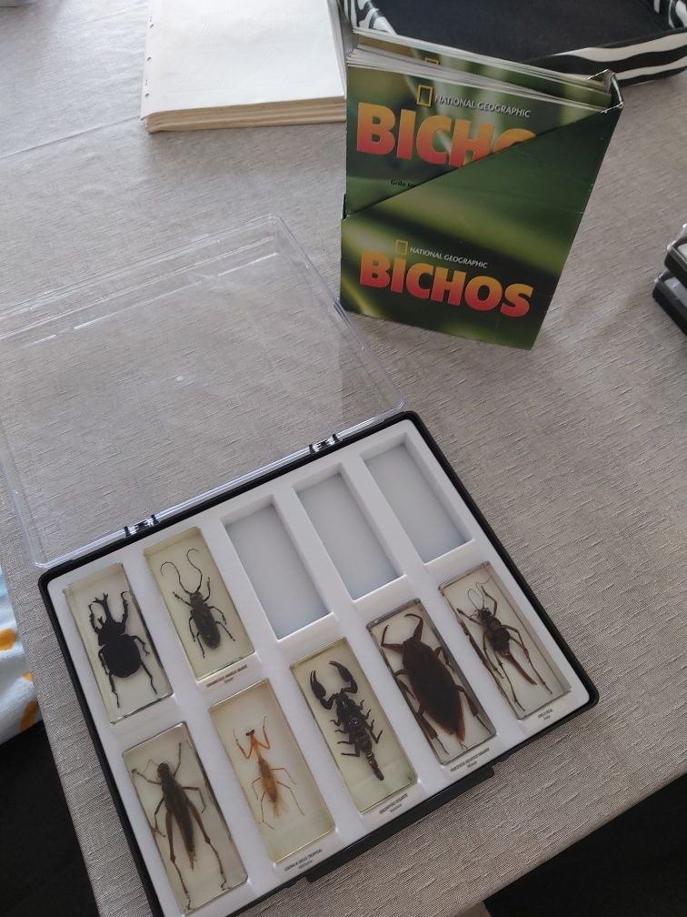 Coleção Dos Bichos(2 caixas completas e uma semi)