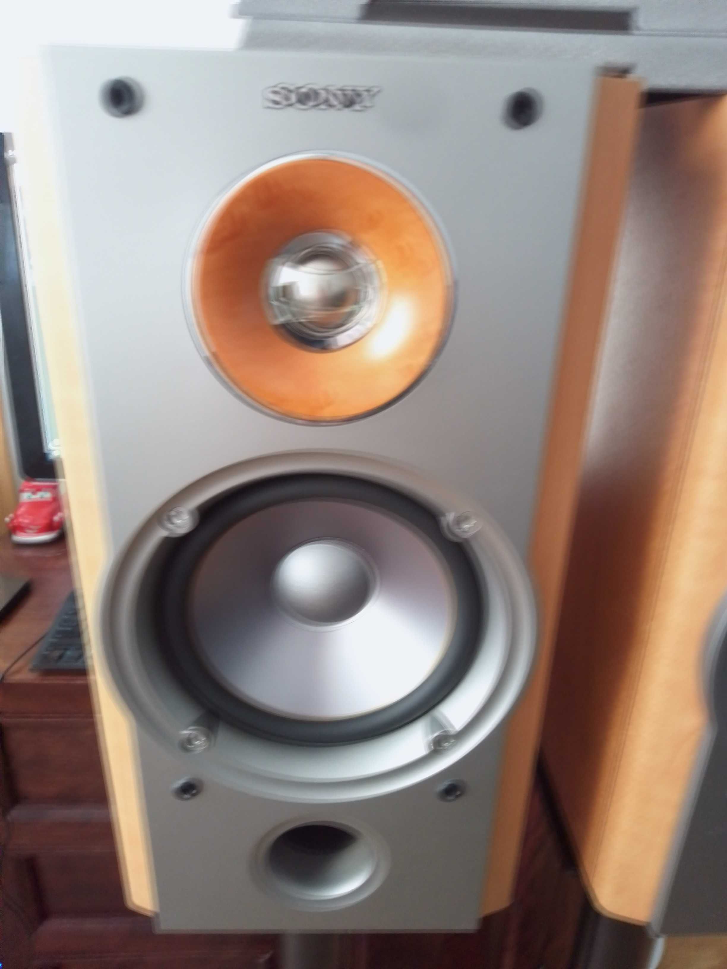 Kolumny Sony SS-NX1 *Super Stan i Dźwięk