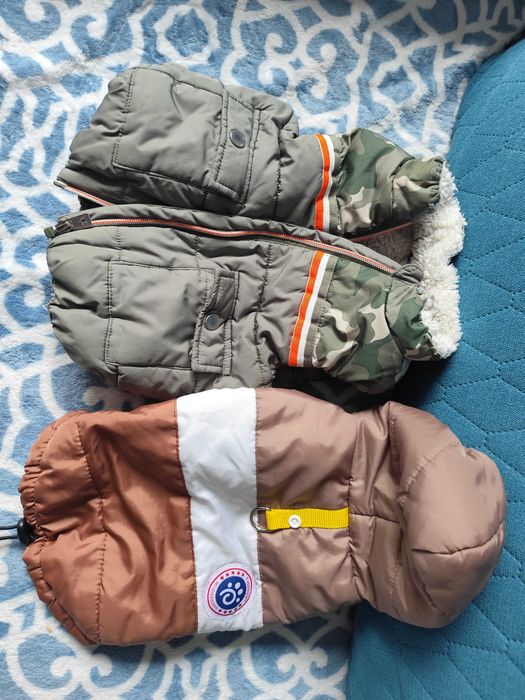 Jesienne ubranka dla małego pieska