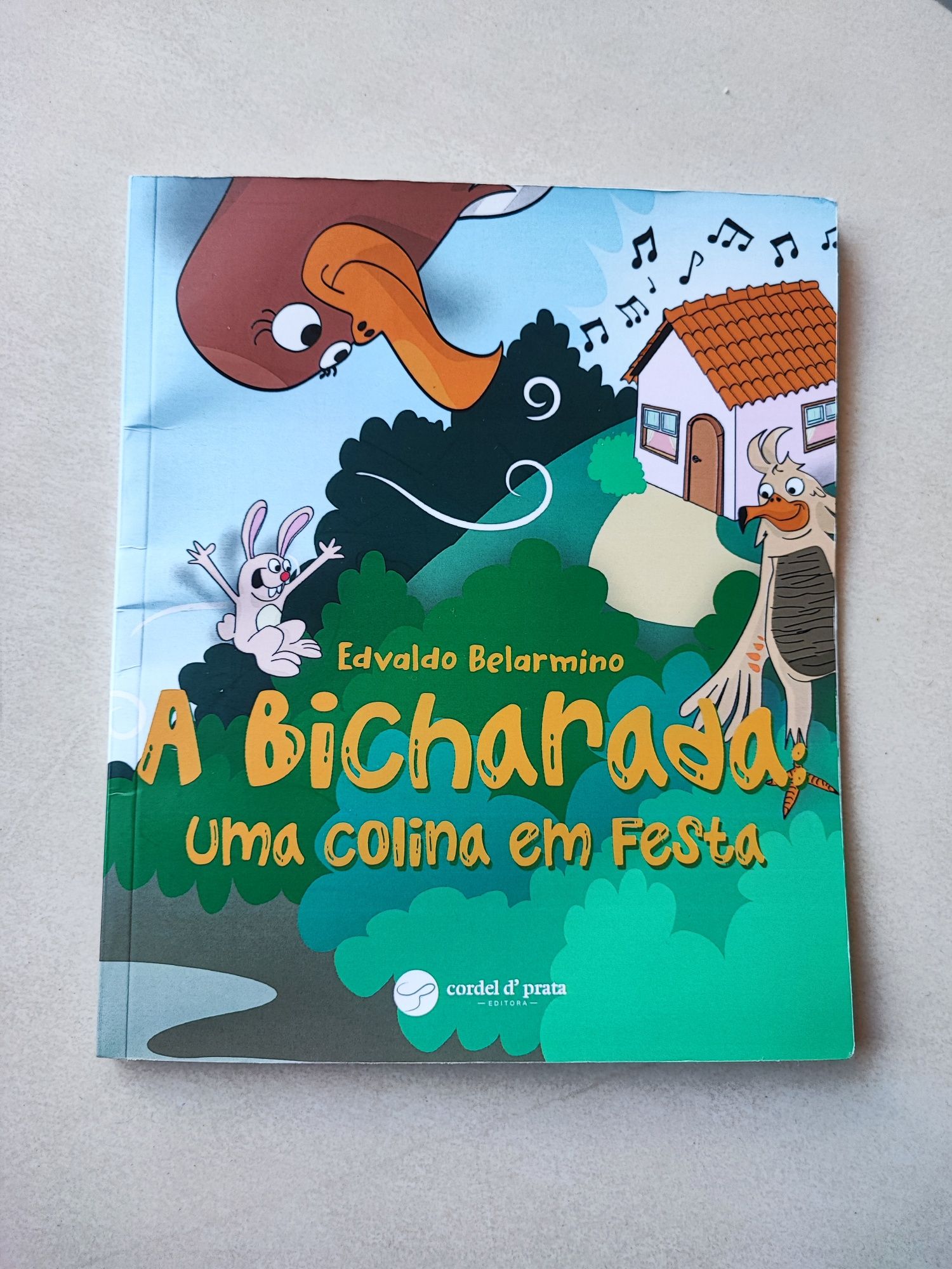 Livro infantil: A bicharada, Uma colina em festa