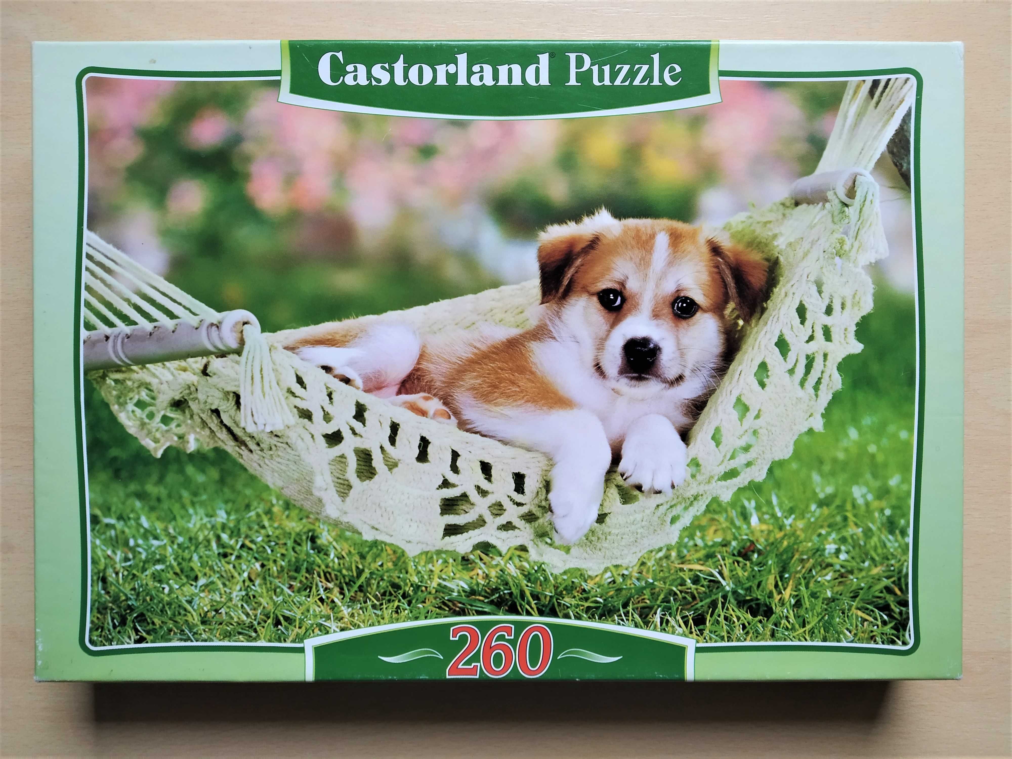 Piesek na hamaku - PUZZLE CASTORLAND - 260 elementów