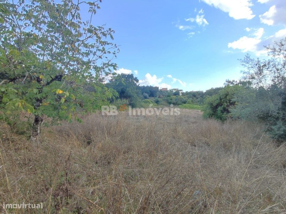 Terreno rústico com 1280m² - Ferreira do Zêzere