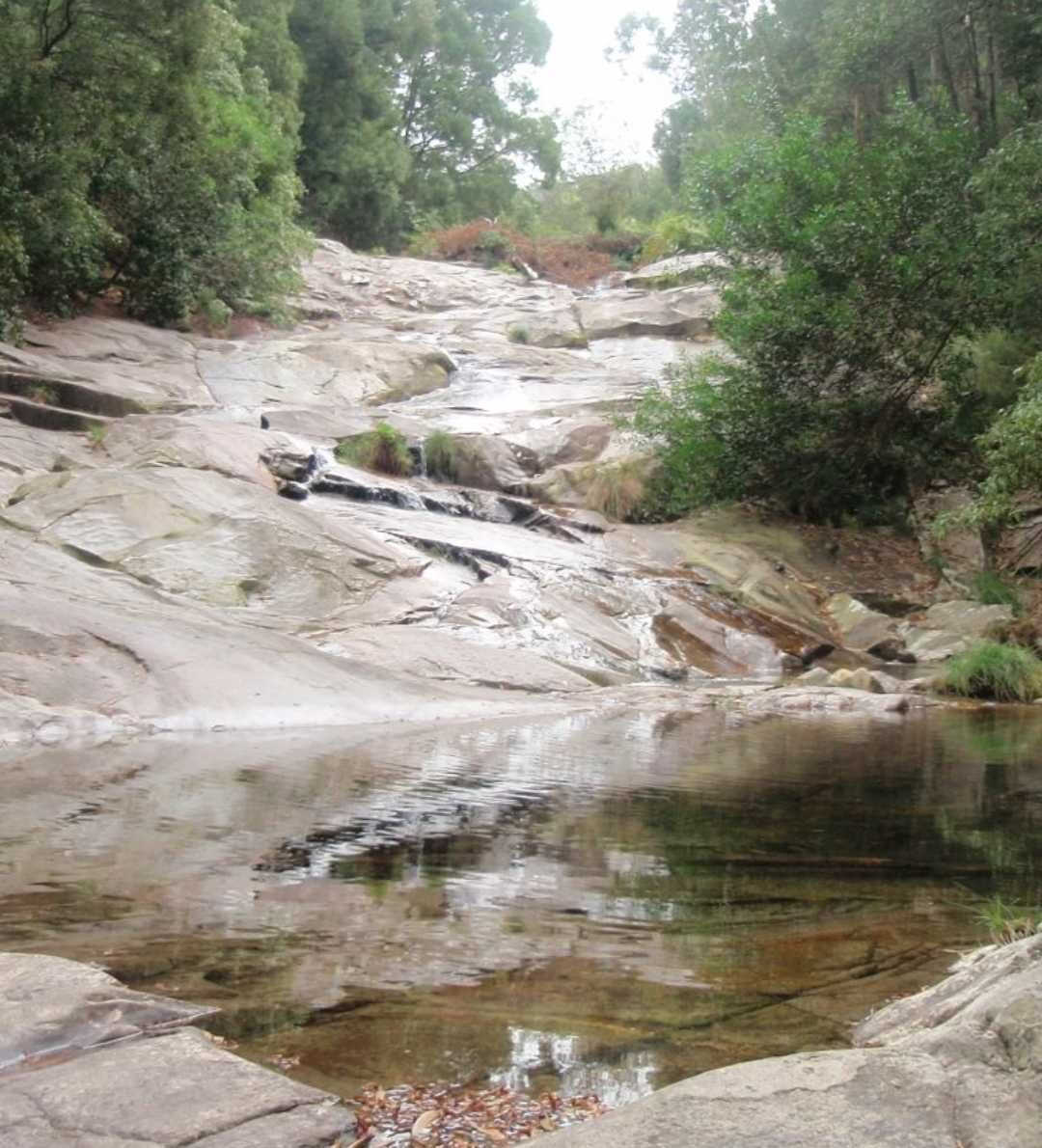 Terreno para construção em Afife em zona tranquila com bons acessos.