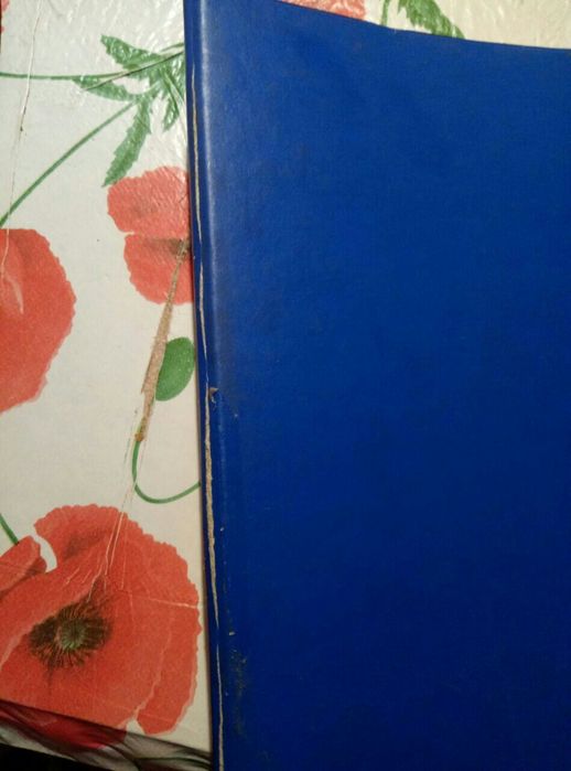 Папка скоросшиватель  большая