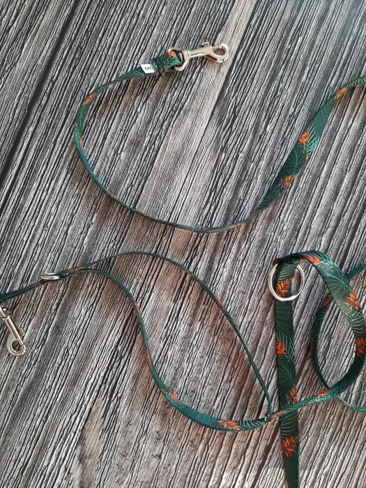 Повідець, повідок, для собачки р S, ami play