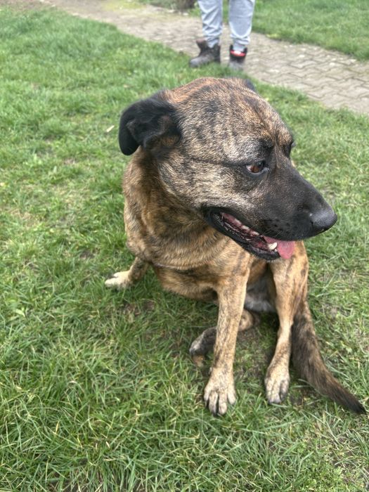 Szukamy domu razem lub oddzielnie