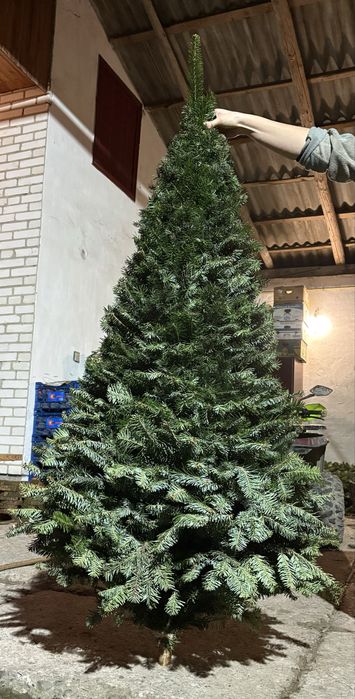 Ялинка з гілочок ялиці саморобна