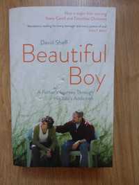 Beautiful Boy: A Father's Journey Through His Son's Addiction - Sheff