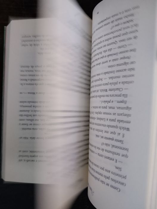 Livro Raparigas Selvagens de Rory Power