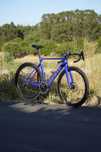 Giant Propel Advanced 2024