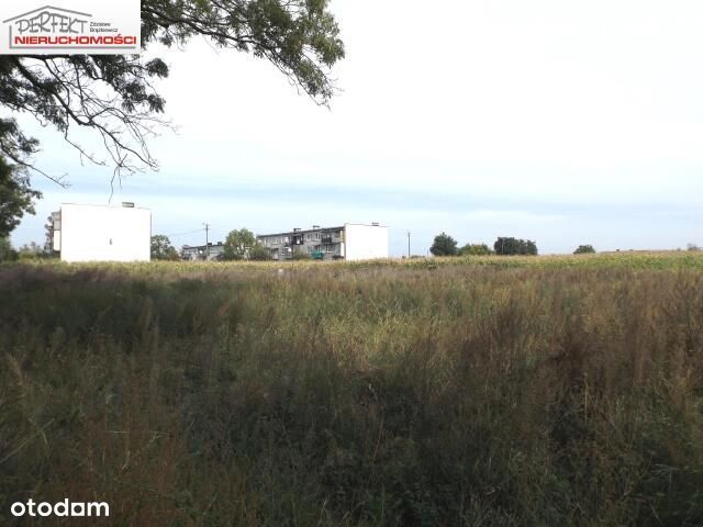 Działka idealna pod inwestycję.