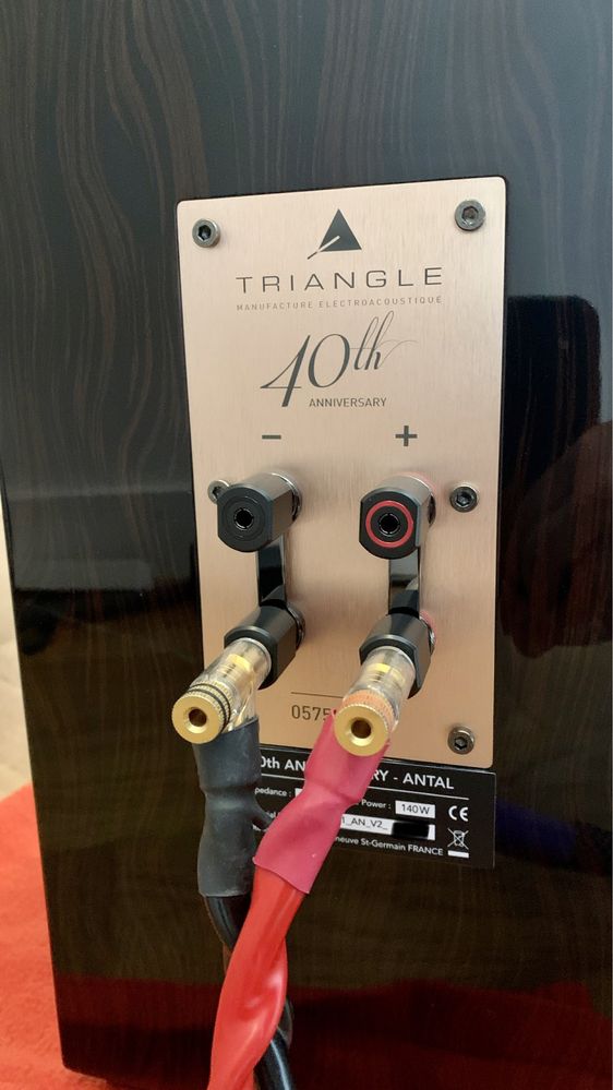 Triangle Antal 40th Anniversary