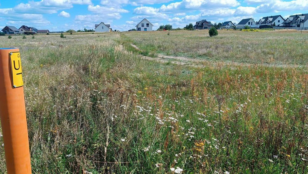 Działka budowlana DĘBNO ul. Chojeńska 1690m2 JESZCZE NOWSZA CENA