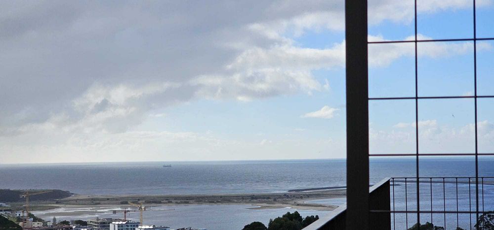 JARDINS ARRABIDA  YARD